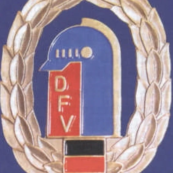 Bundesleistungsabzeichen Bronze.jpg