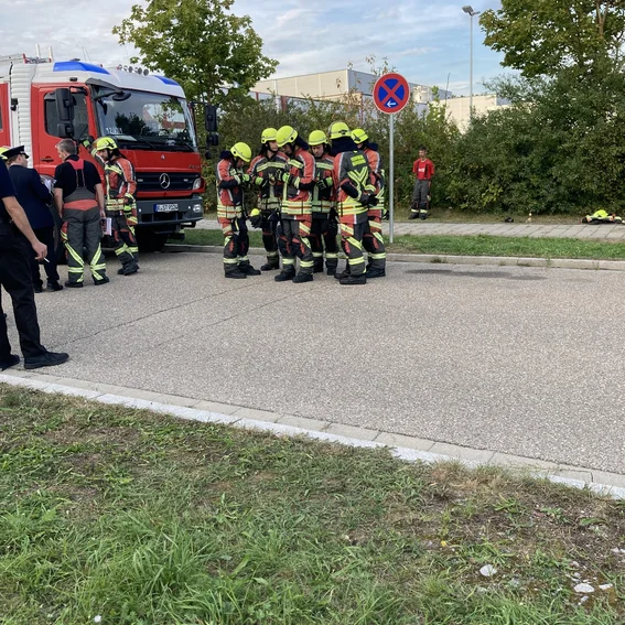 Wer ist eigentlich jetzt was .jpg