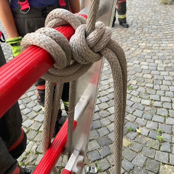 Rückseite Variante 4.jpeg