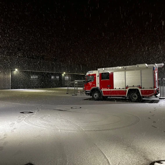 LF im Schnee.jpg