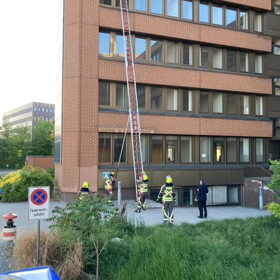 16 Leiter wird auf Position gekippt.jpeg