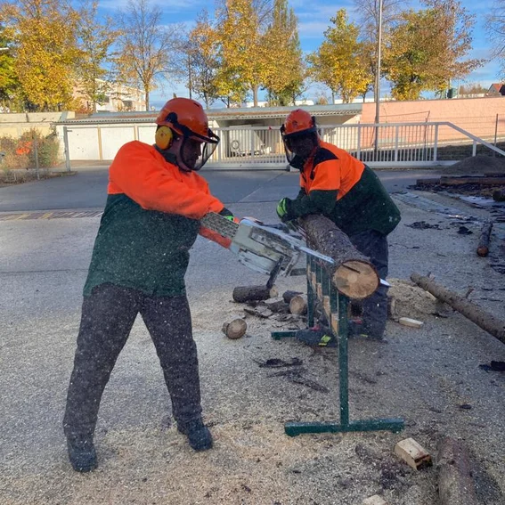 Schnitttechnik üben.jpg