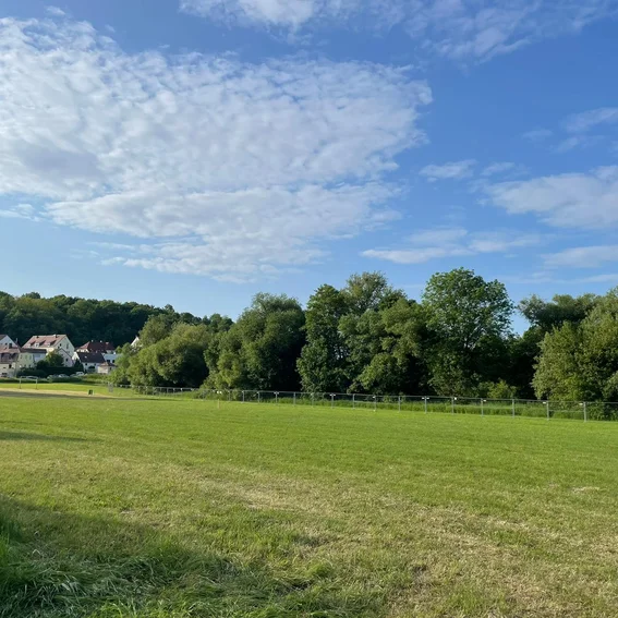 Festplatz vorher.jpg