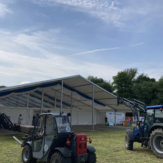 Fleißiges wegbauen des Bodens.jpg