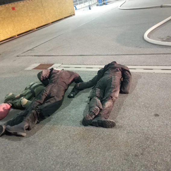 13 Es gesellten sich noch zwei weitere dazu.jpeg