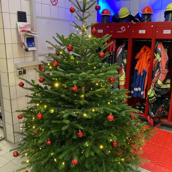 Weihnachtsbaum.jpg