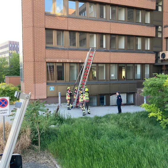 14 Leiter wird aufgestellt.jpeg