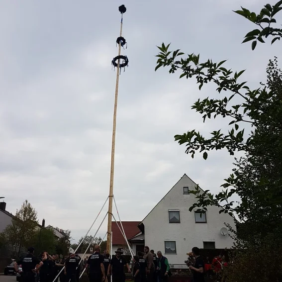 Bild 6.jpeg